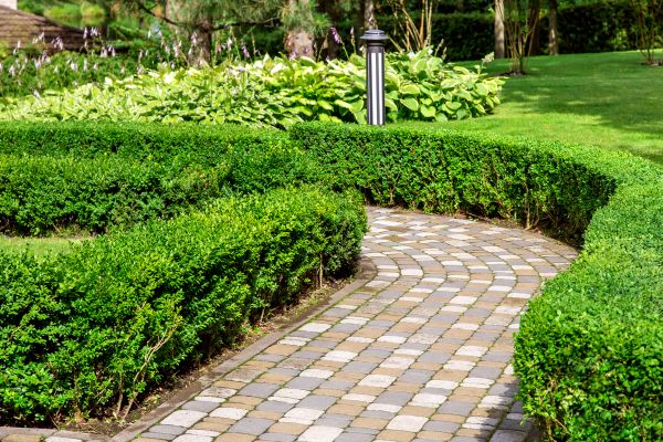 Cost of Paved Landscaping in Buckeye