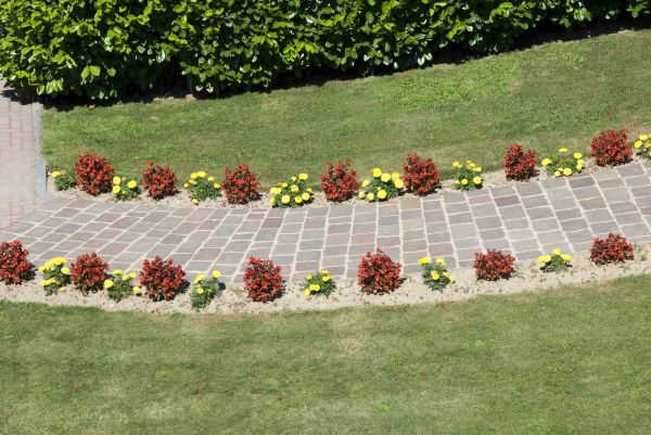 Garden Paving in Buckeye