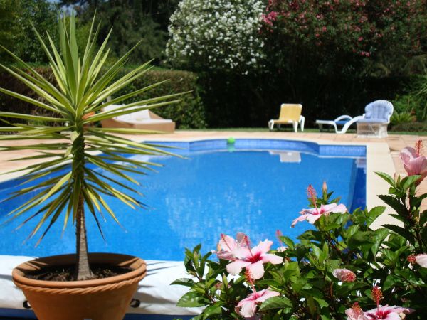 Cost of Pool Terrace Renovation in Buckeye