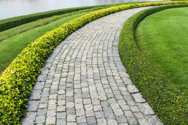 Sidewalk Pavers Installation in Buckeye